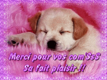Je vous adore !